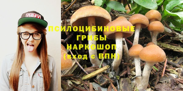 mdma Пересвет