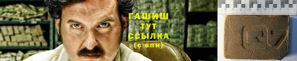 гидра Переславль-Залесский