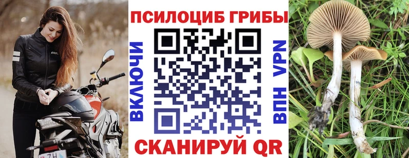 Псилоцибиновые грибы мицелий  купить наркоту  Боготол 